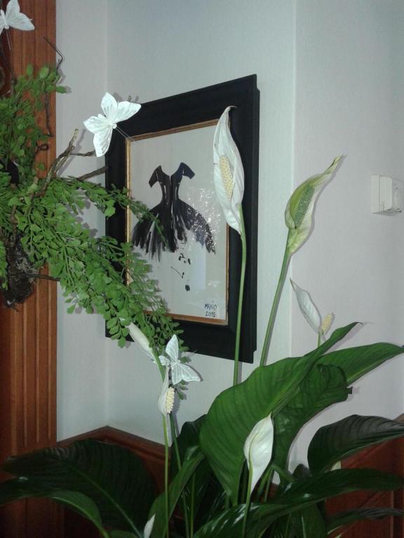 Balneum Boutique Hotel & B&B Bagno di Romagna Zewnętrze zdjęcie